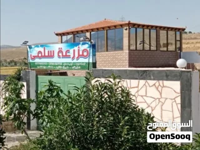 مزرعه سلمى ترحب بكم  الزرقاء السخنه طريق القنيه من دوار معصوم لغايه المزرعه14 كم — مزرعة في الزرقاء