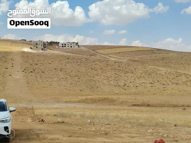 نمرة سكنية لقطة للبيع  في جريبا قرب شارع ياجوز الرئيسي بسعر مغري جدًا إطلالة من المالك مباشرة — أرض في الزرقاء