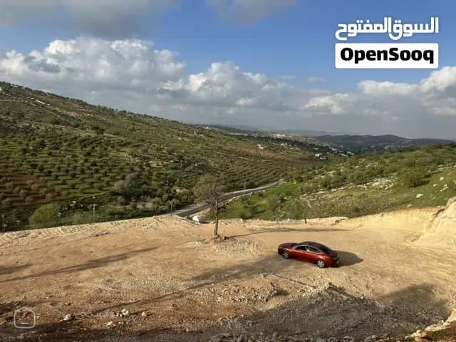 ارض مميزة بيرين ( صروت ) بسعر لقطة جداً لبناء مزرعة / شاليه — أرض في الزرقاء
