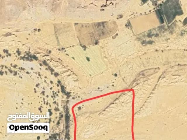 زيد العلوي — أرض في حضرموت