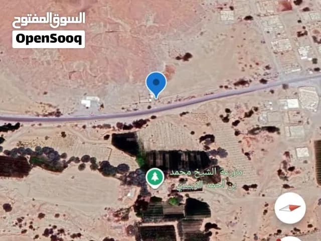 زيد العلوي — أرض في حضرموت